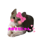 僕、こはくです（個別スタンプ：8）