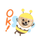 mocoポメ（個別スタンプ：6）