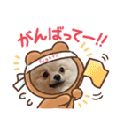 mocoポメ（個別スタンプ：8）