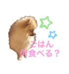 mocoポメ（個別スタンプ：14）