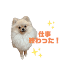 mocoポメ（個別スタンプ：32）