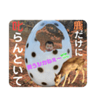 知弦コレクション2（個別スタンプ：11）