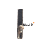 ロッキー Part1（個別スタンプ：1）