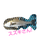 釣り日和…（個別スタンプ：10）