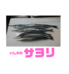 釣り日和…（個別スタンプ：13）