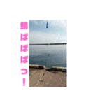釣り日和…（個別スタンプ：28）