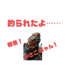 釣り日和…（個別スタンプ：31）
