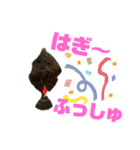 釣り日和…（個別スタンプ：33）