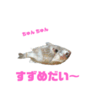 釣り日和…（個別スタンプ：34）