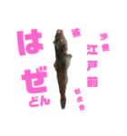 釣り日和…（個別スタンプ：37）