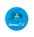 水族館のXmas（個別スタンプ：2）