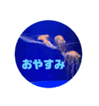 水族館のXmas（個別スタンプ：7）