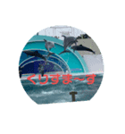 水族館のXmas（個別スタンプ：8）