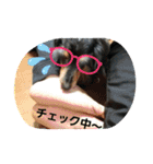 Cherry スタンプ（個別スタンプ：4）