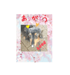 Cherry スタンプ（個別スタンプ：10）