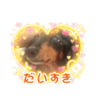 Cherry スタンプ（個別スタンプ：13）