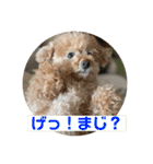 Pooh dayo！（個別スタンプ：14）