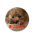 Pooh dayo！（個別スタンプ：17）