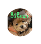 Pooh dayo！（個別スタンプ：24）