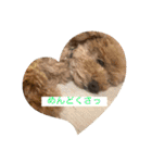 Pooh dayo！（個別スタンプ：28）
