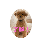 Pooh dayo！（個別スタンプ：29）