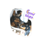 チェッチャンスタンプ（個別スタンプ：1）
