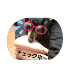 チェッチャンスタンプ（個別スタンプ：4）