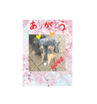 チェッチャンスタンプ（個別スタンプ：9）
