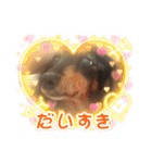 チェッチャンスタンプ（個別スタンプ：13）