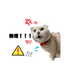 10chan！！！（個別スタンプ：3）