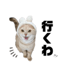 10chan！！！（個別スタンプ：5）