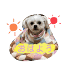 こちゃ時々こち（個別スタンプ：2）