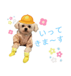 こちゃ時々こち（個別スタンプ：3）