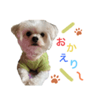 こちゃ時々こち（個別スタンプ：6）
