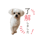 こちゃ時々こち（個別スタンプ：24）