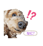 たまには言いたい（個別スタンプ：4）