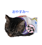 たまには言いたい（個別スタンプ：6）