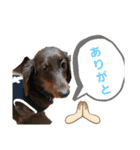 たまには言いたい（個別スタンプ：10）