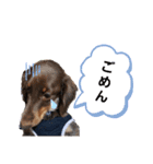 たまには言いたい（個別スタンプ：11）