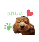 たまには言いたい（個別スタンプ：12）