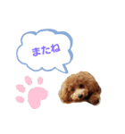 たまには言いたい（個別スタンプ：15）