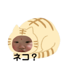 キュートな壱起（個別スタンプ：10）