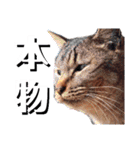 緊張と緩和（個別スタンプ：23）