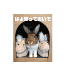 ネザーのOKOGE2021（個別スタンプ：4）