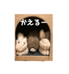 ネザーのOKOGE2021（個別スタンプ：8）