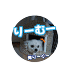 リク＆ちょこ(時々じぇずま)（個別スタンプ：4）