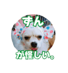 リク＆ちょこ(時々じぇずま)（個別スタンプ：5）