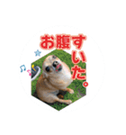 リク＆ちょこ(時々じぇずま)（個別スタンプ：10）