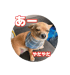 リク＆ちょこ(時々じぇずま)（個別スタンプ：14）