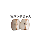 割りと使える零の如くオリジナルスタンプ2（個別スタンプ：24）
